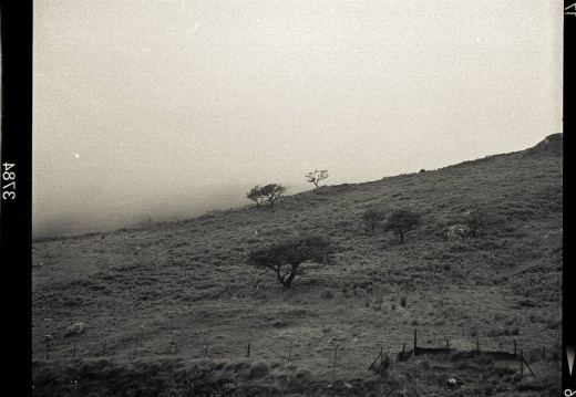 f6206367fbcff0611241fc24c8bb83c3