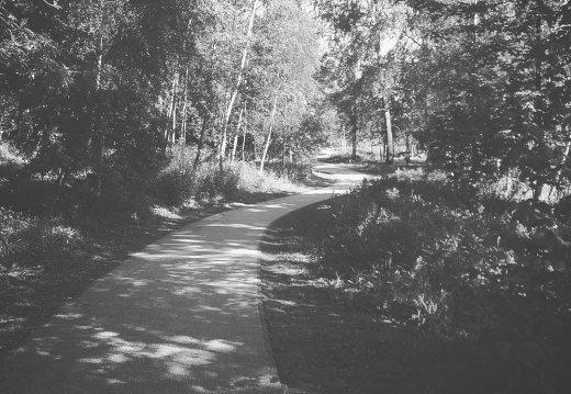 3da729fa8ce2c7c070699225cc80c743