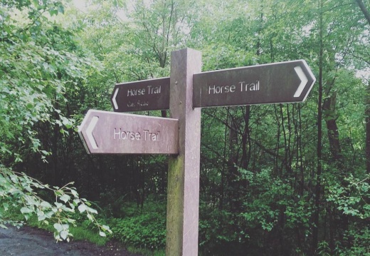 4a34491bb5bf274a0f3b5e982f172370