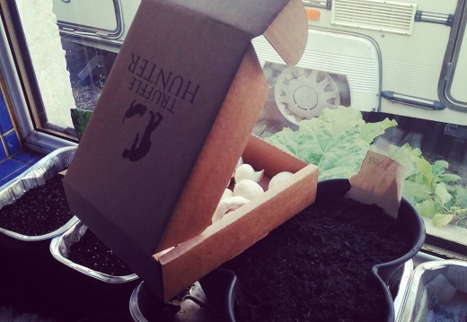 4b6068dcd16d5e1fe284d9badffab26d