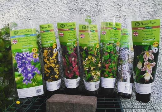 06f6d0b19ea0c50a241eea7af924672d