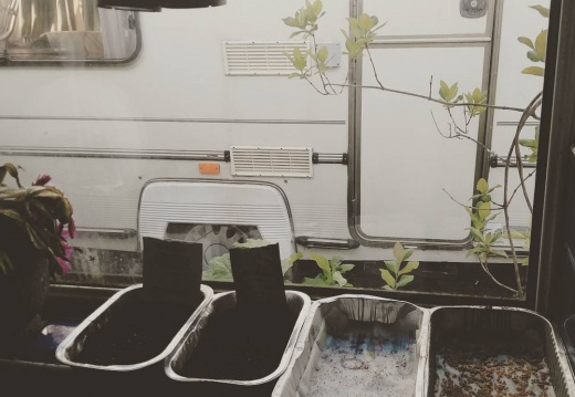 6c6e38e10e5c14770b4f231c34ef2672