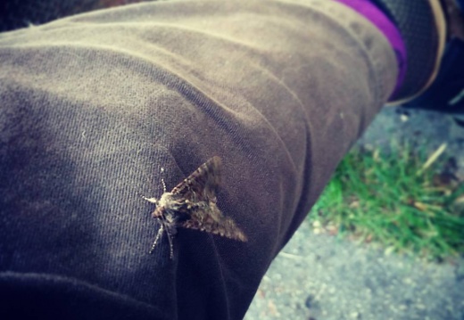 6ea9504cb7ed93d3f3be866dc568b3ae