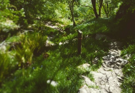 11a268d453fbf0df3c2ef8ddc93998dc