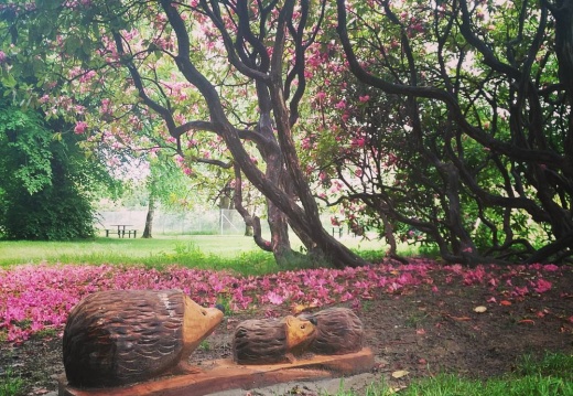 65fb6e7c2b5415c9340f184f458eba93