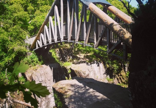 82a04ba2f979c91083bddd4b5a3b9d70