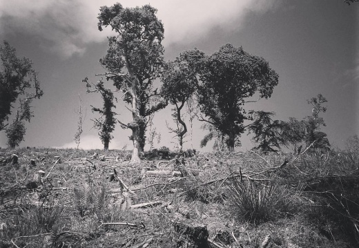 99fe1ca184d2a7dae896a3f297d6c659