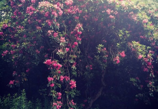 754fb4426862e5780e25a2702babb863