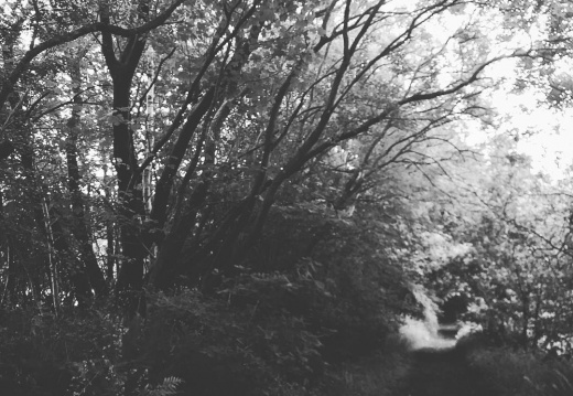 884eafd8c2227a2604093c30b5119b0d