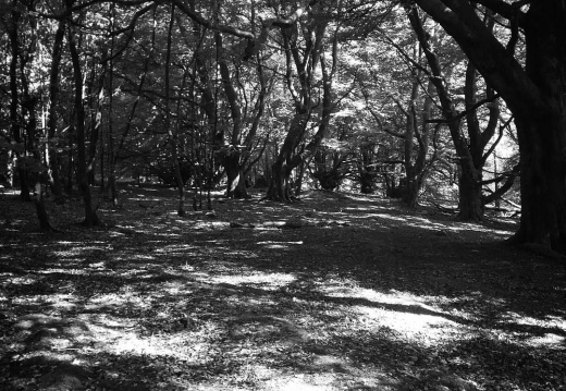 2507e006607fcaf513437df582c876f0