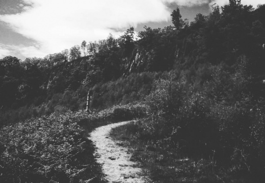 4333cfd8ce931d6f60f2887a80a79032