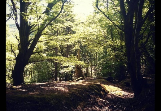 a2b7b12a55714d90850c08a0986e45bb