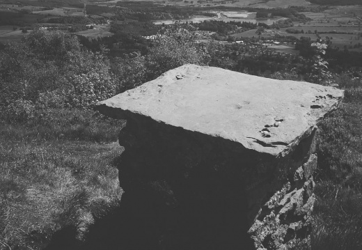 bfe5b5d65e04ea4603959c1f8ca9efd8