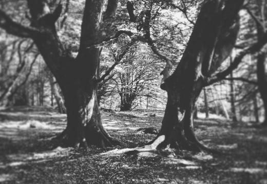 efd57c1947646f70cc557f46e7d8b40c