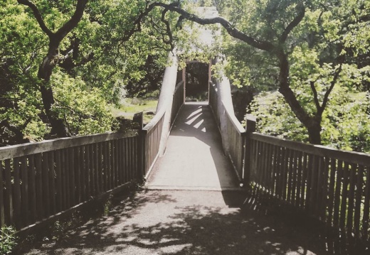 f8231dbe6b0b0976b7412b372f8c5e04