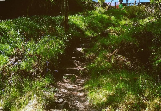 fcc227635c8e73ac8adabdb9482c0096