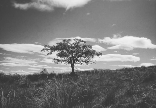 ff8b1f8eda9bb6a31e9f93fb1a8cce2e