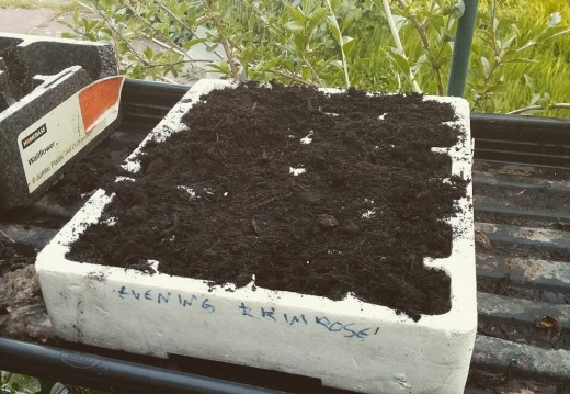 0fb428c32ed58ce7bebdff671432e197