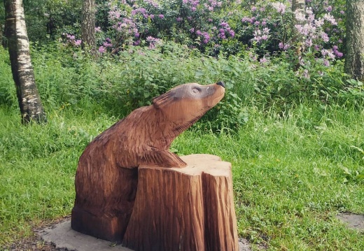 1ad7e76fe2b86a03acd0a16f88eed5aa