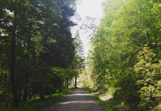 1e56e7159ba71088de343d5d7687809e