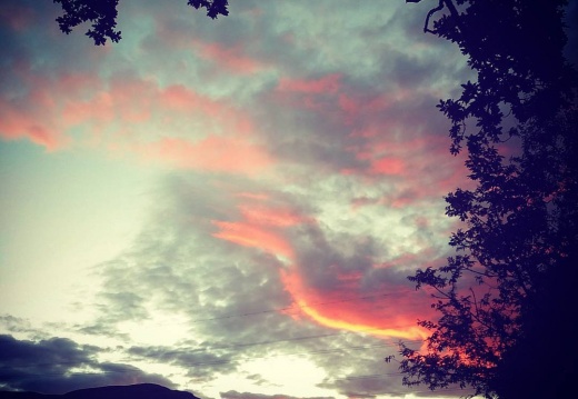 d608d77c67849d8e82491b7b2a18b0ae