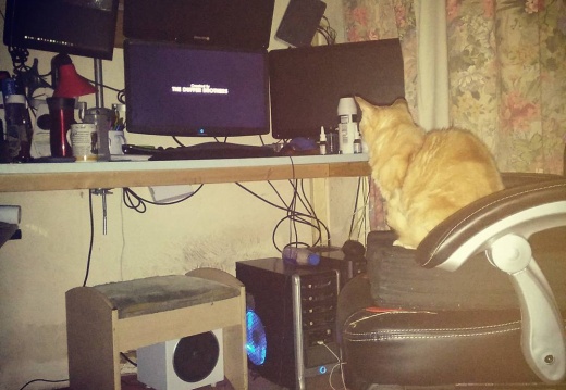 d7475a18179813c68fa7aacb5cd8b19d