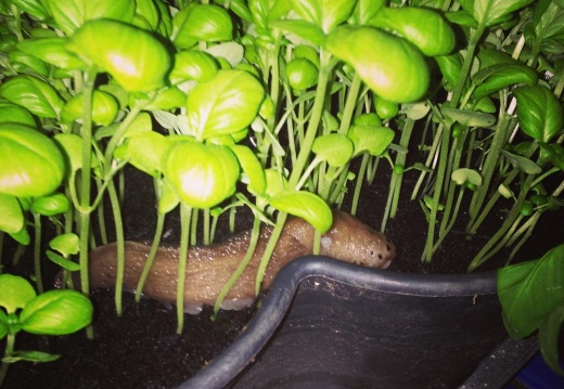 2e62c4a8c9ffddac6d2acf25bdaabc1c