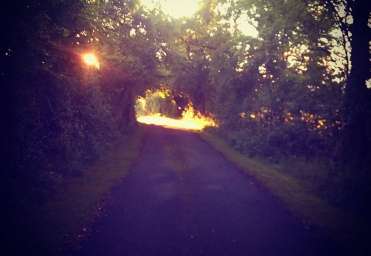 6e41d532b157fd2d0399b4b5632401e9