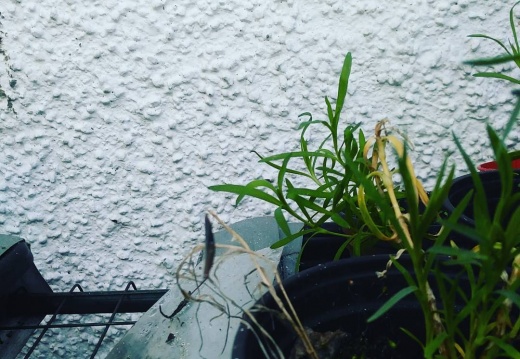 08d2d7cfd15ac9d6eea93e9434f08c46