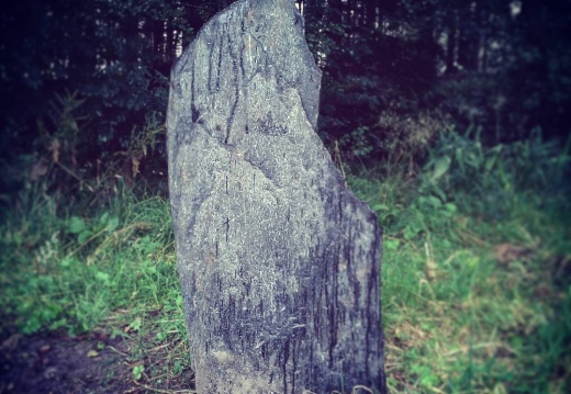 d1c2a43ae14e8a26abc1879a66bbbca2