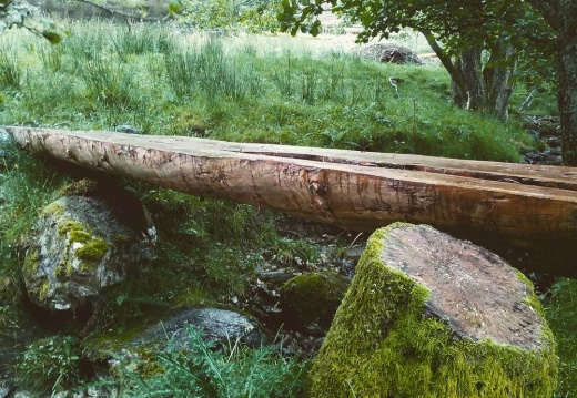 de561f8f60a43a9bd9406fba5c51deed