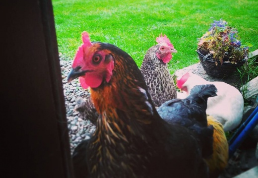 58f75000f38aca0905cf895c9b9ef403