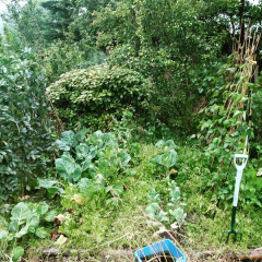 784c2d25b85636929edaa47c088ad555