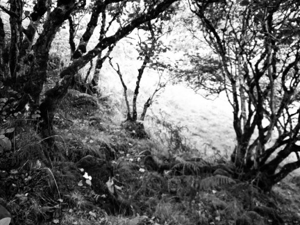 8920c917d7c1711d3a416c8b901cd9cc