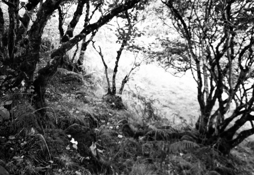 8920c917d7c1711d3a416c8b901cd9cc