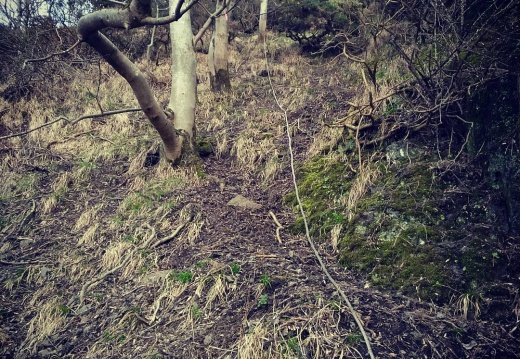 bd4c4bbb565497841c93fec46e4156c2