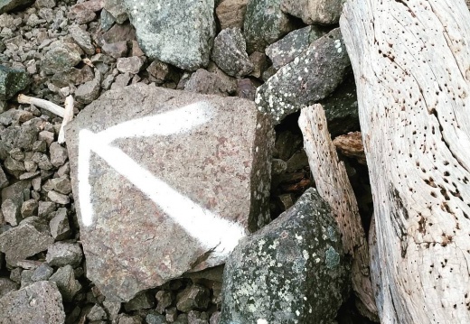 6da0b470d7a960e76691cfb48fea1976