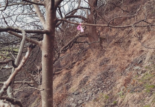 41deeeccae3d4f1b8937c36426262c07