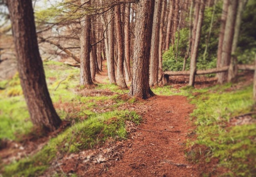 6f3eb9451211cd3958a98ef41e795ec3