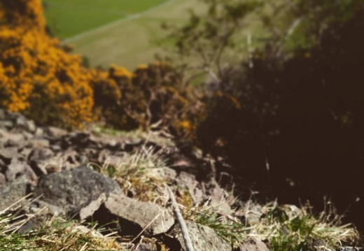 8ce11b9fbad60b76d1ddba20bae533b5