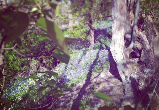 5824c6ad182f3a9e0a179a1cd981668c