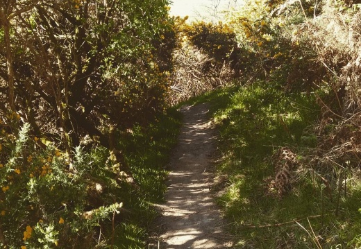 e2c015582303142b1660d1e5811eca42