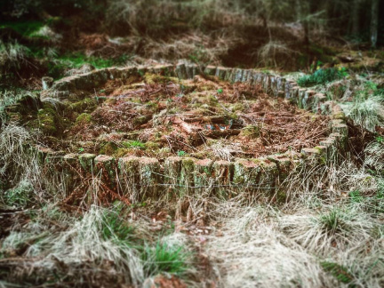 4e843c3d1e1d67c8a20de35747e99885