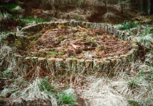 4e843c3d1e1d67c8a20de35747e99885