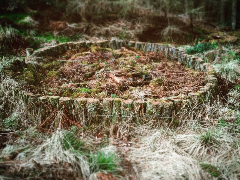 4e843c3d1e1d67c8a20de35747e99885