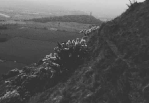 522ee85c67c6cf5937e8c387c4e26f9e