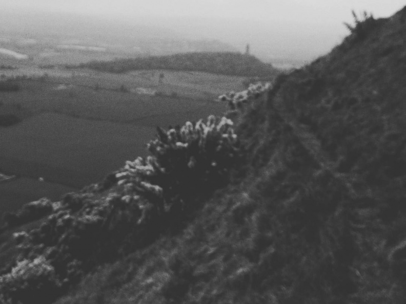 522ee85c67c6cf5937e8c387c4e26f9e