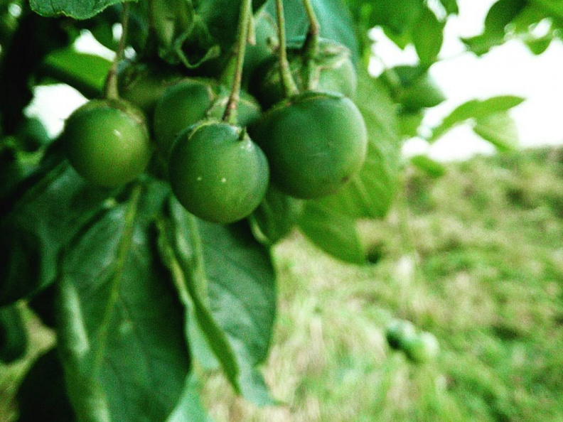 7e4c56589dcf77a2f10abc075906a5f4