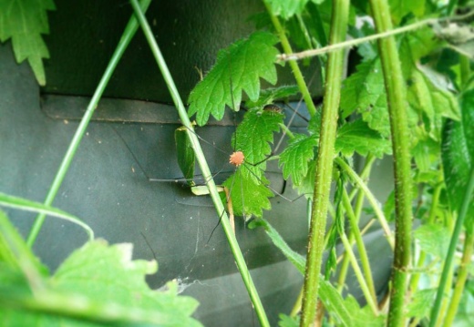 bbedff50ed0d3e1c27b7f9d3c36df4a2