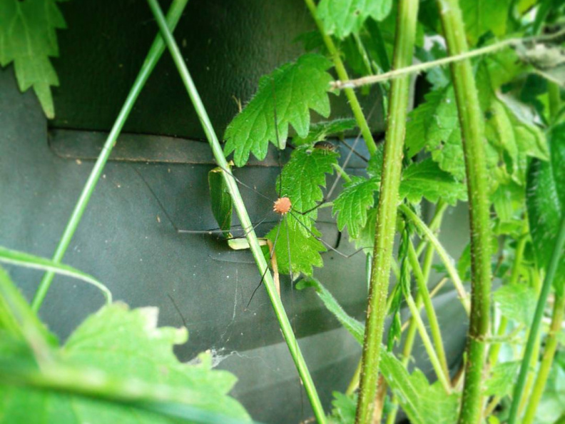 bbedff50ed0d3e1c27b7f9d3c36df4a2